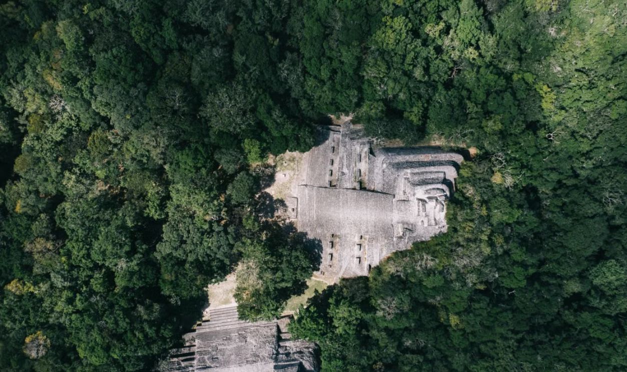 Overhead shot of temple ruins nestled in dense forest, Mexico