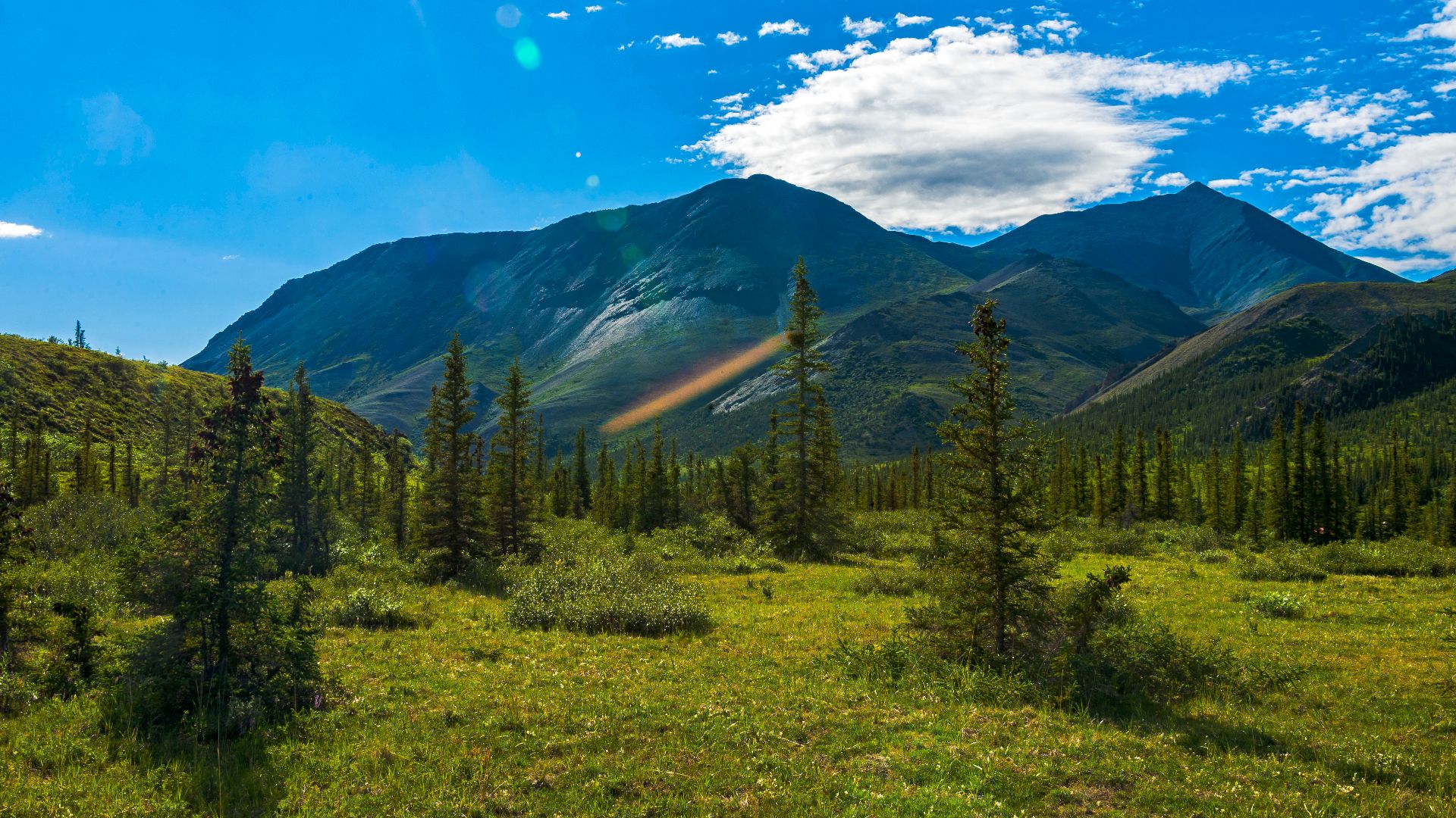 View south from the Wolf Creek campsite along the Firth River, Ivvavik National Park, Canada