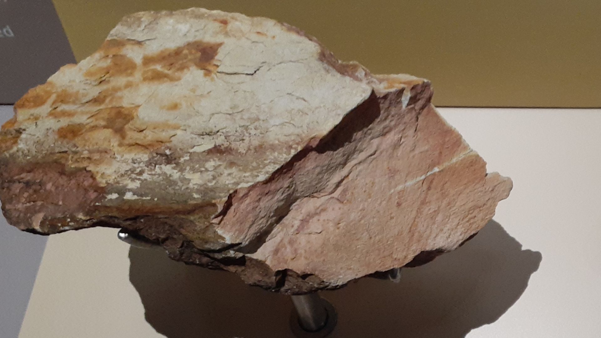 HK TST East zh:香港科學館 Hong Kong Science Museum HKSM exhibit rock samples in April 2021
