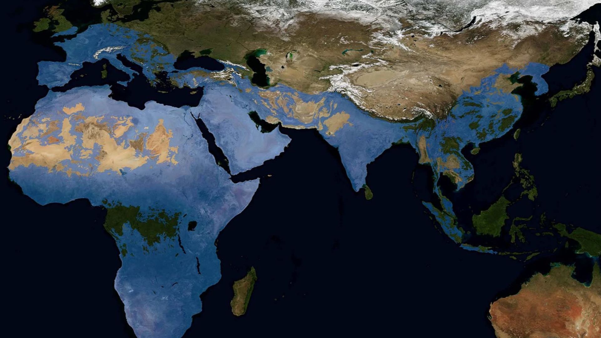 (marked in blue) according to the 2021 study