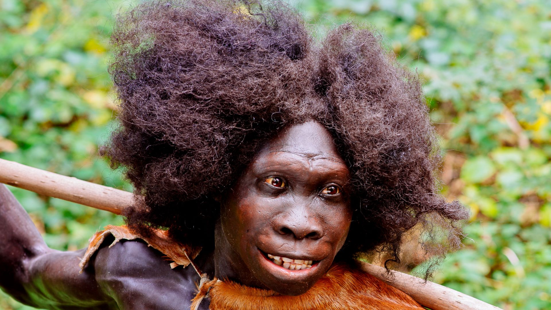 Rekonstruktion des Homo erectus Fundes: Turkana Boy (Ausschnitt) vom Fundort Nariokotome, Kenia, ausgestellt im Neanderthal Museum in Erkrath, NRW. Model made by Kennis & Kennis Reconstructions.