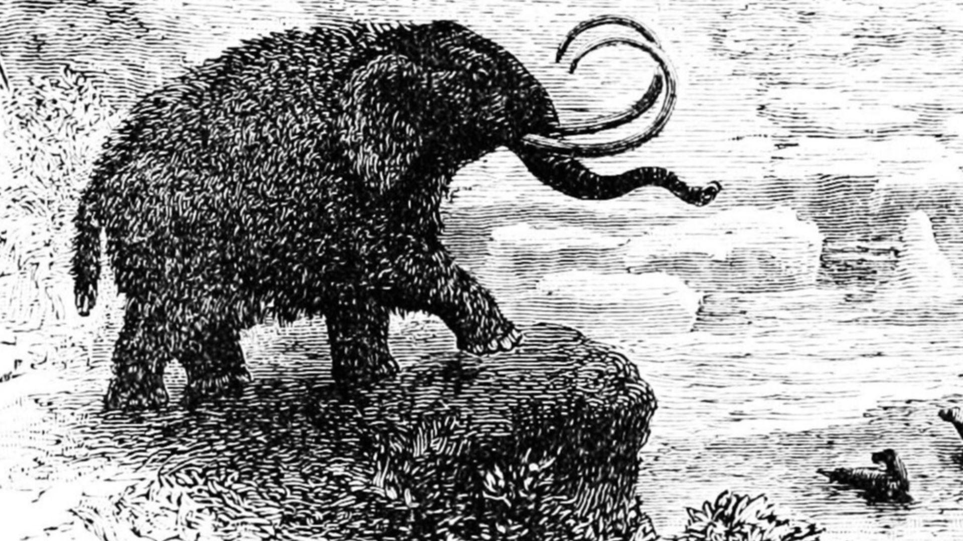 Europe in the Ice age