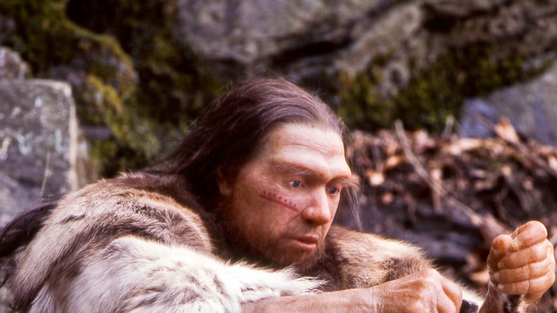 Lebend-Rekonstruktion im Neanderthal-Museum (Erkrath, Mettmann) eines Homo sapiens neanderthalensis-Jägers