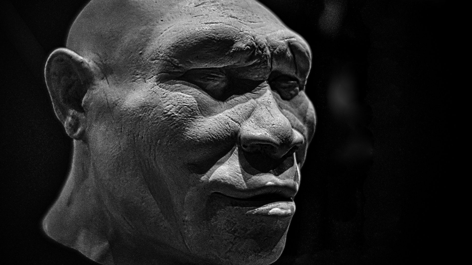 Homo erectus reconstruction, Natural History Museum, London
Within these hallowed halls
Revenge one does not know.
(Mozart, Magic Flute)
7Artisans 35mm manual lens at F1.2, ambient light.

Natural History Museum, London. This attempt at reconstructing the