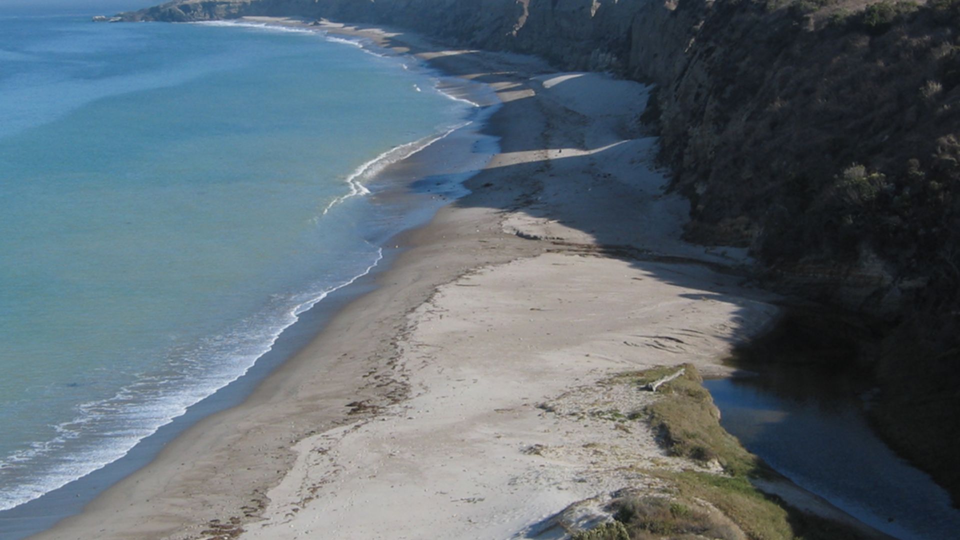 Water Canyon beach with endemic Torrey pines (Pinus torreyana var. insularis) on hills, and cliffs with Coastal sage scrub habitat, on Santa Rosa Island.
Located in the Coastal sage and chaparral sub-ecoregion, within Channel Islands National Park, Southe
