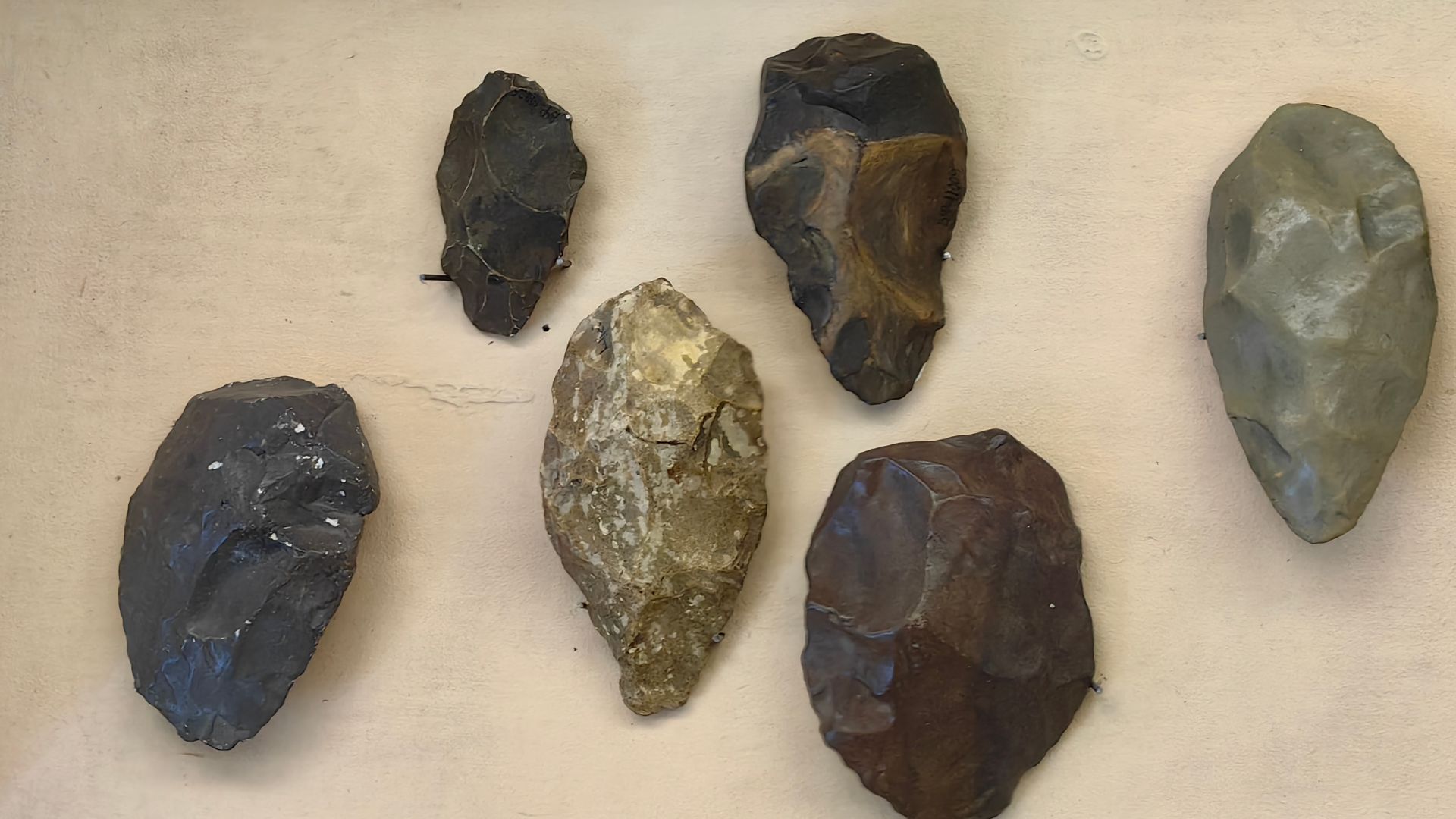 Tools of Acheulean culture
