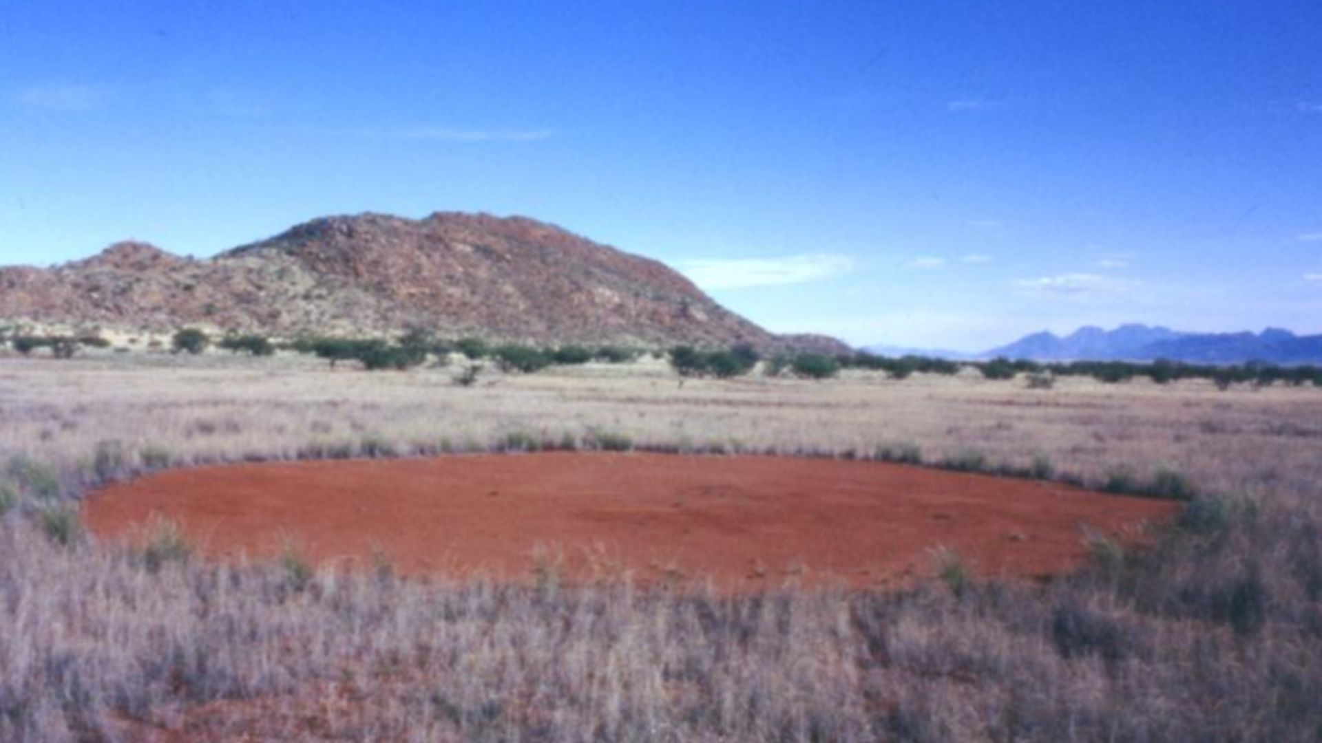Feenkreis im Marienflusstal/Namibia; Hartmannberge im Hintergrund (?)