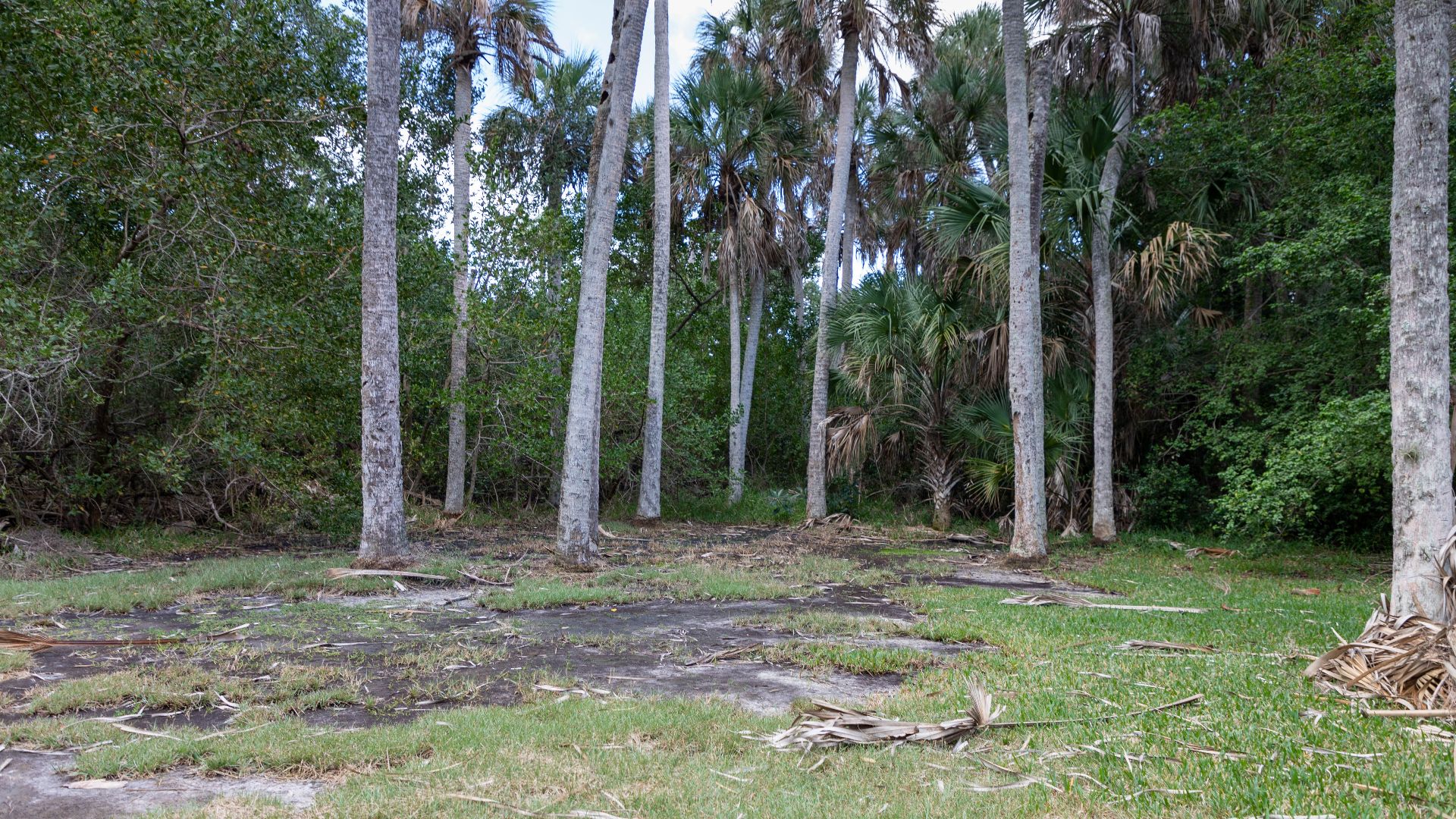 The Madira Bickel Mound State Archaeological Site is an archaeological site on Terra Ceia Island in northwestern Palmetto, Florida, United States. It was added to the United States National Register of Historic Places in 1970 and is also a Florida State P