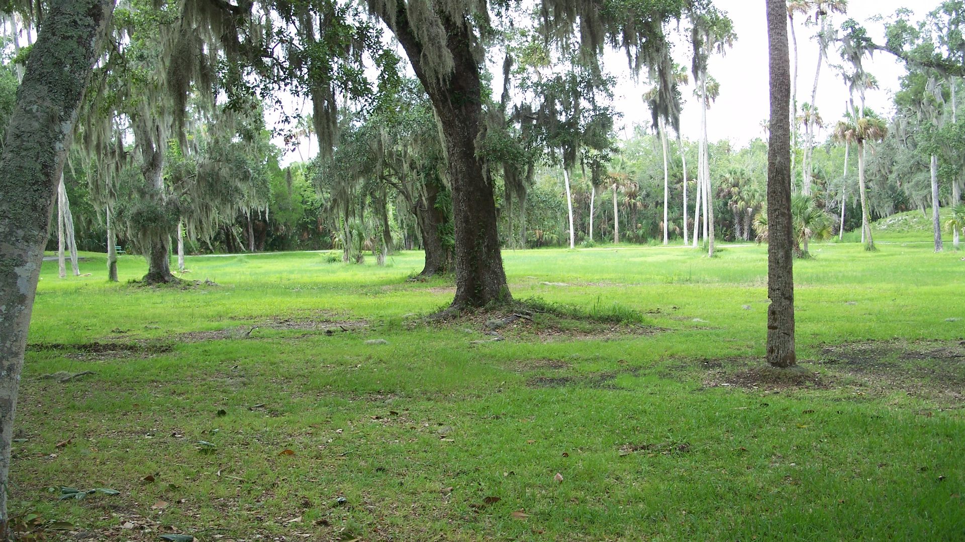 Crystal River, Florida: Crystal River Archaeological State Park:
Plaza area