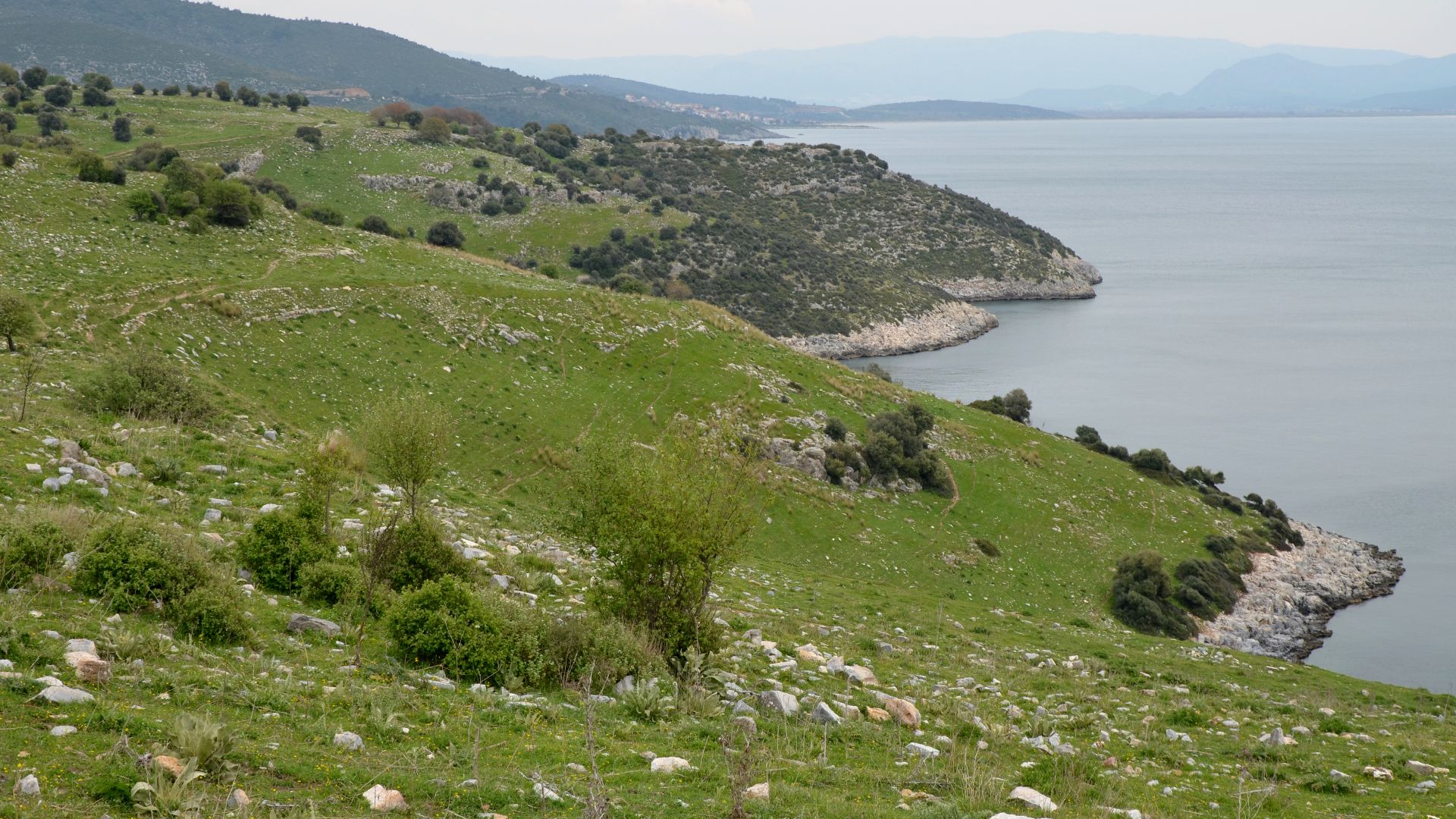 Notion, Ionia, Turkey
