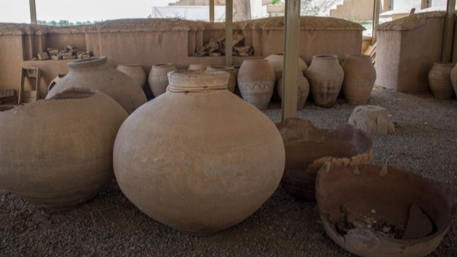 Translation of original description: A valuable collection of 209 coins of the Islamic period, 5 arrows and 2 historical rings was discovered in the area around Persepolis by one of the natives of the region and then donated to the Cultural Heritage Offic