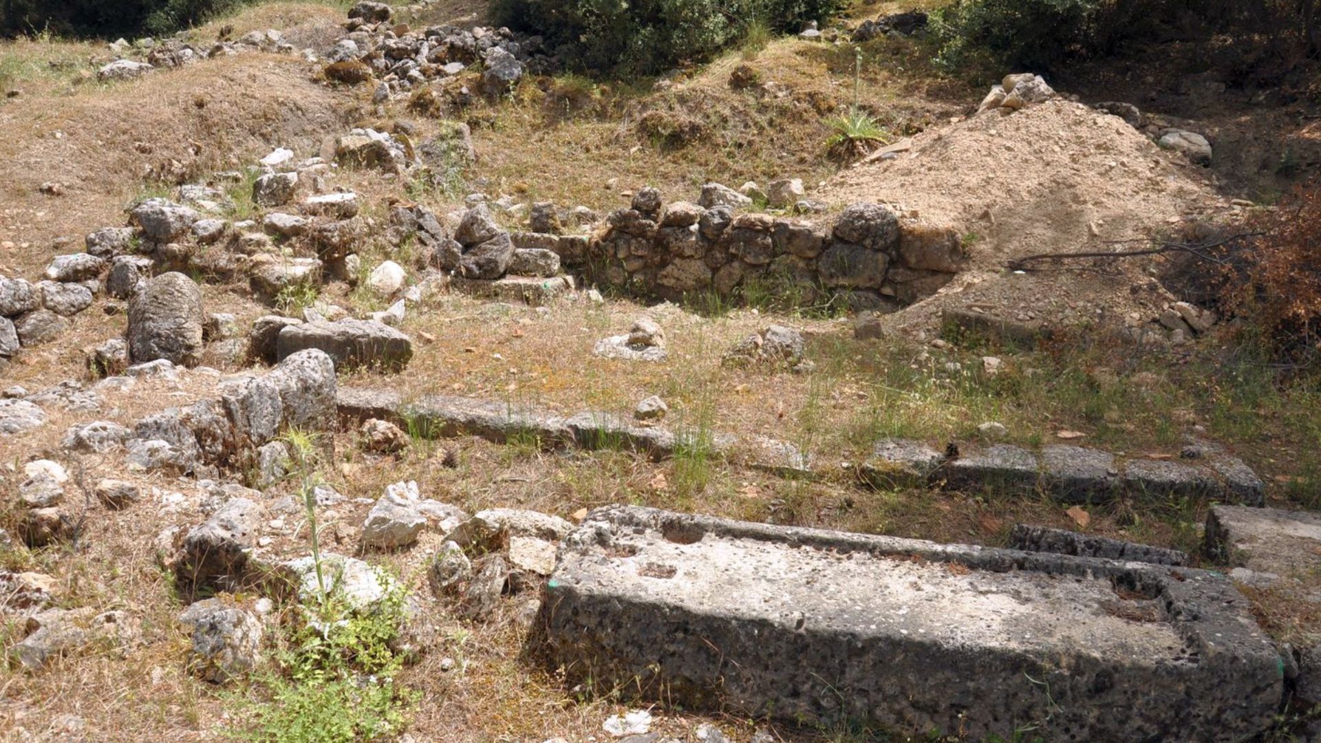 Ruins of Colophon