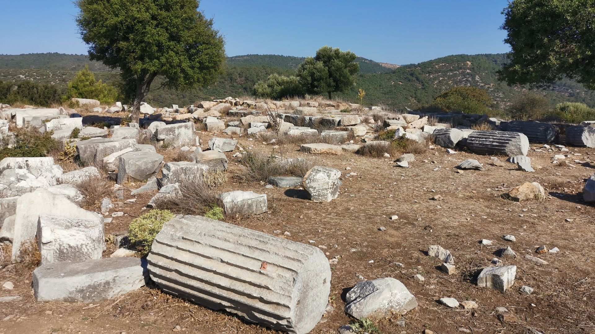 Ruins of the Temple of Athena at Notion in July 2025