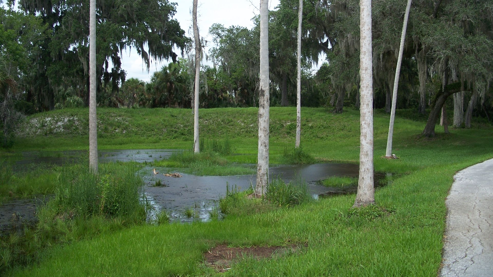 Crystal River, Florida: Crystal River Archaeological State Park:
Temple Mound H