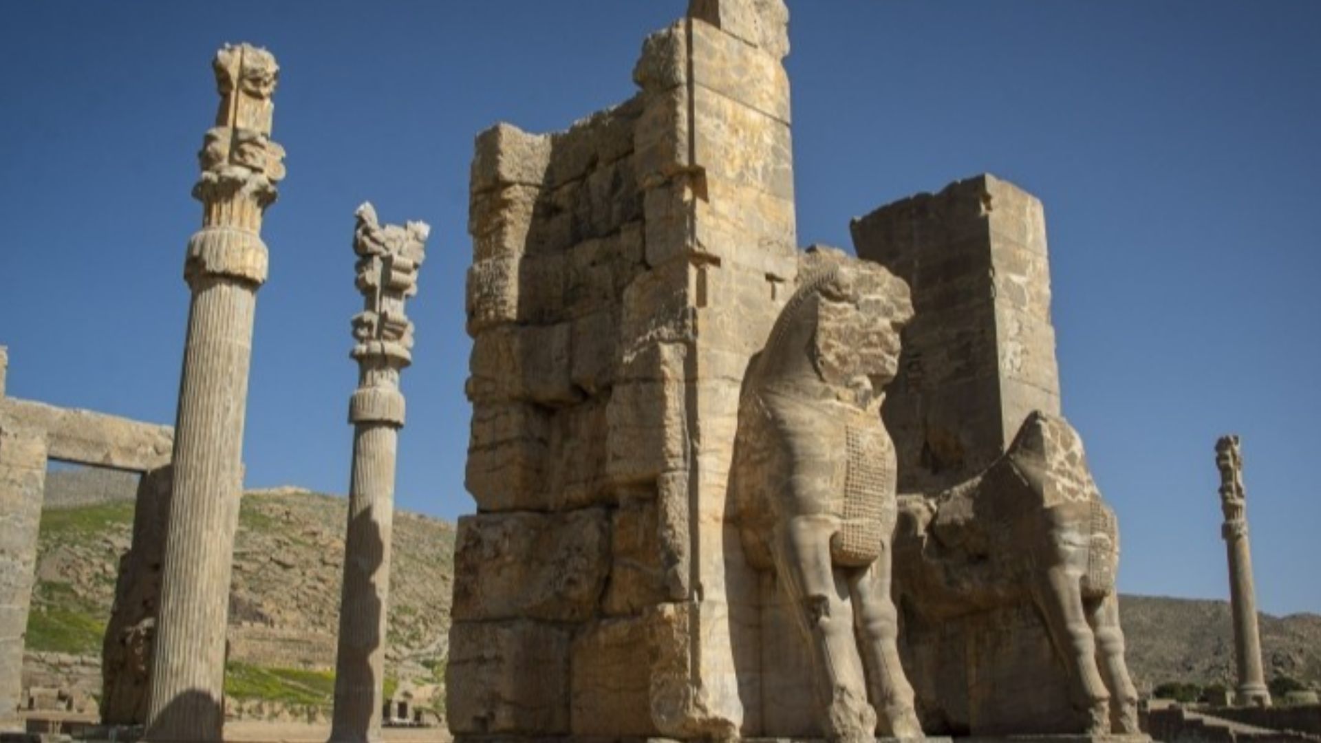 Translation of original description: A valuable collection of 209 coins of the Islamic period, 5 arrows and 2 historical rings was discovered in the area around Persepolis by one of the natives of the region and then donated to the Cultural Heritage Offic