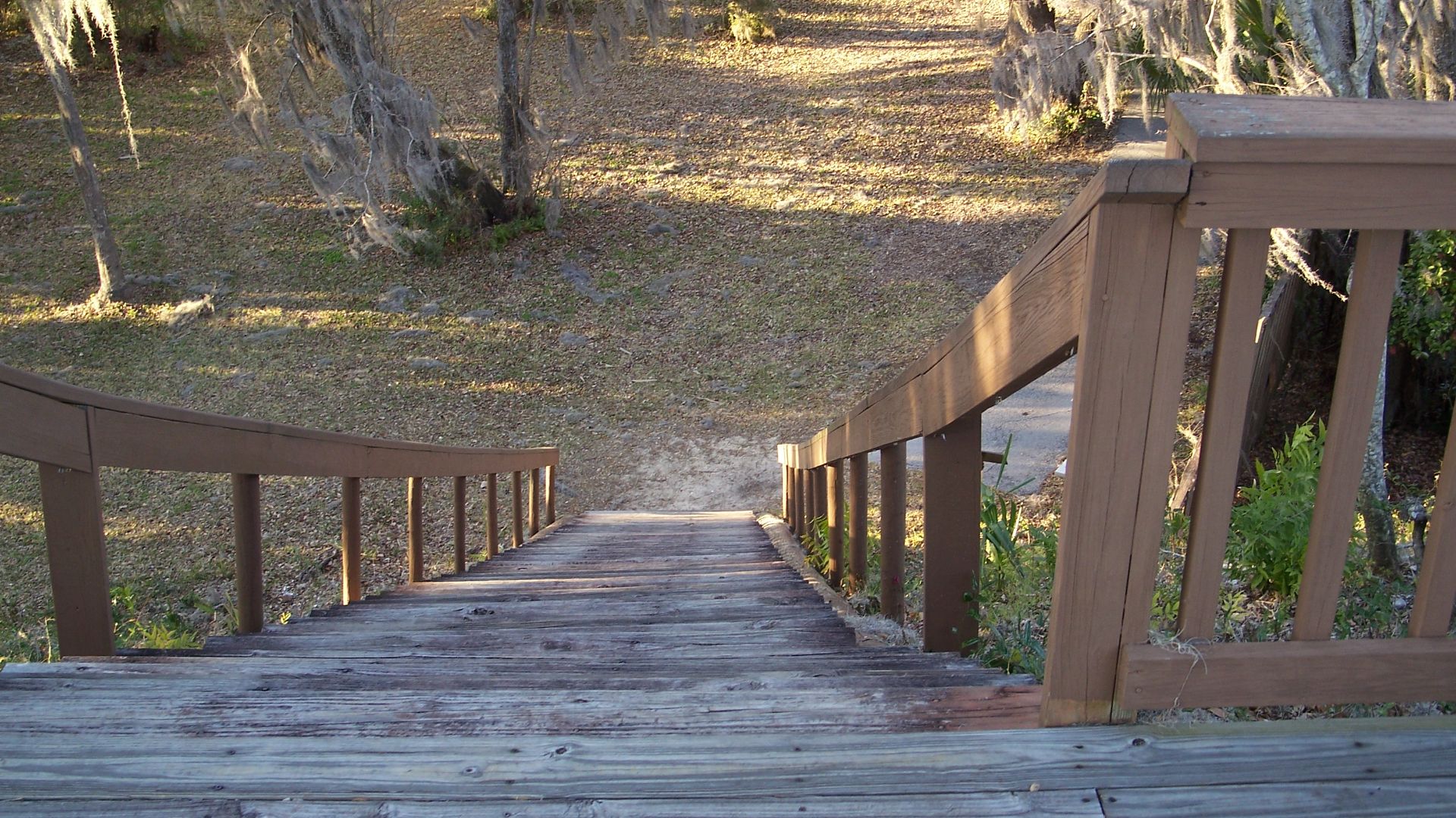 Looking down Temple mound stairway in the Crystal River Archaeological State Park, in Crystal River, Florida