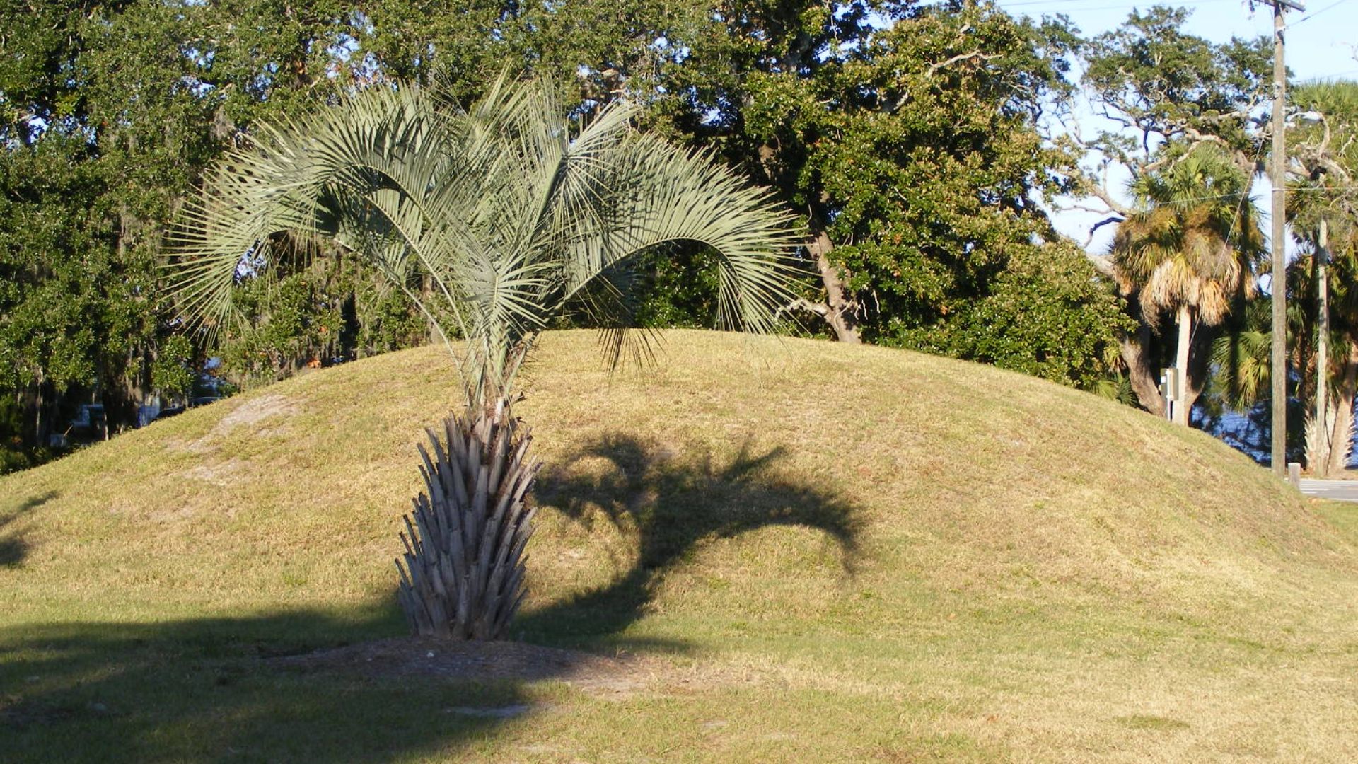 The Ormond Mound, a Native American burial mound on the west bank of the Halifax River, Ormond Beach, Volusia County, Florida.