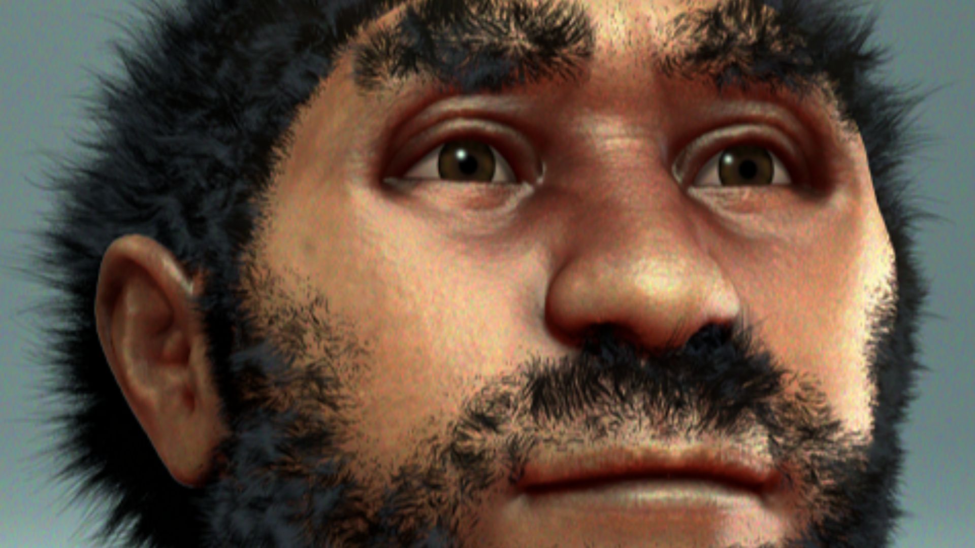 Homo erectus pekinensis - archeaeological