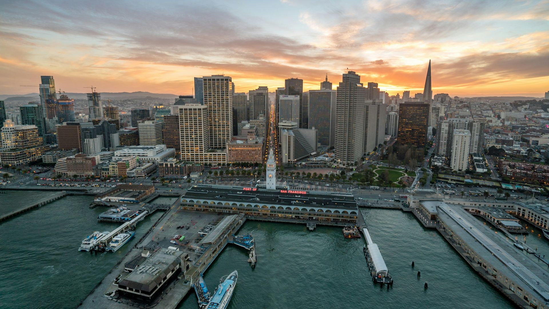 aerial photography of boat harbour during daytime