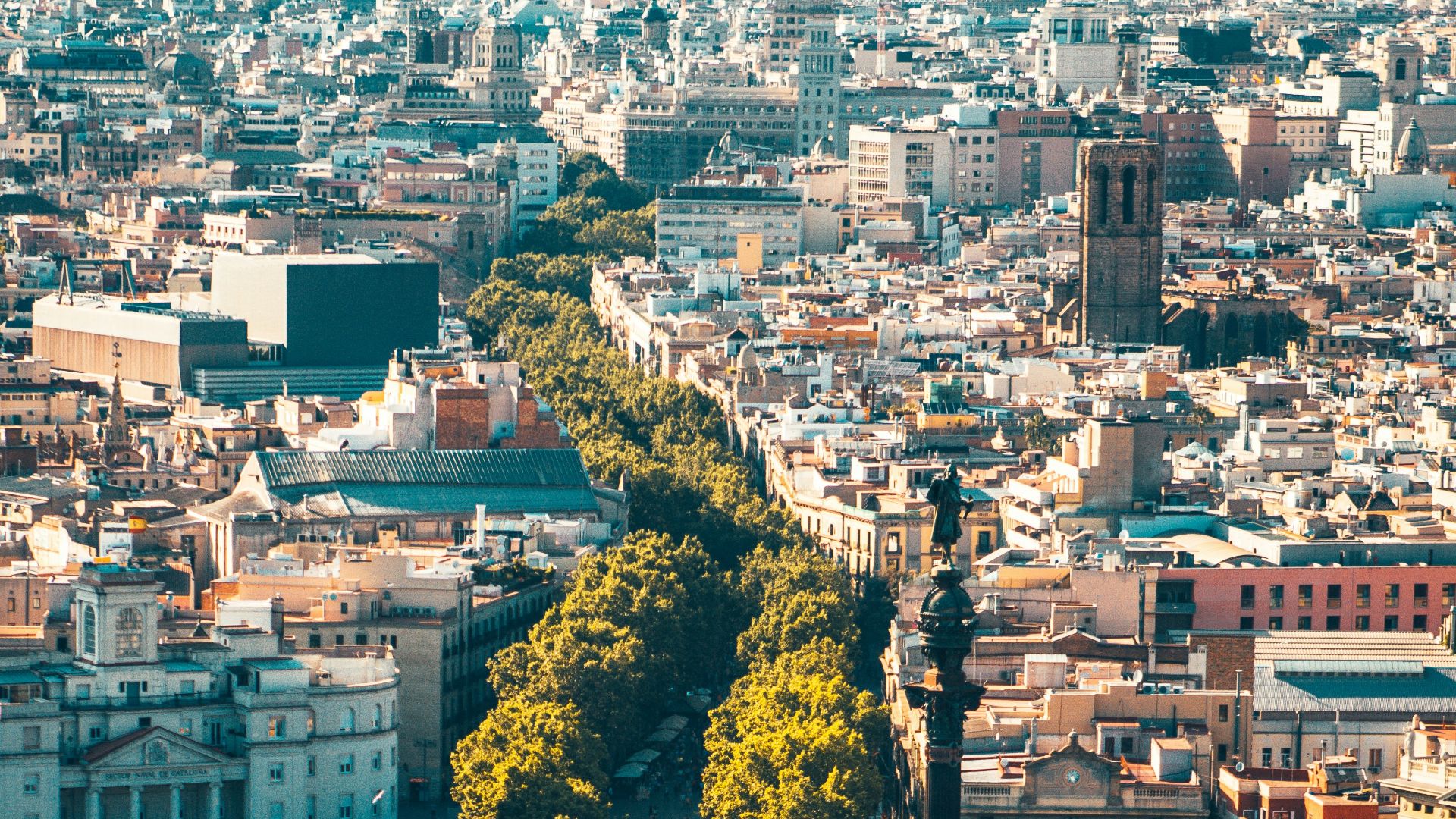 aerial view of city buildings during daytime