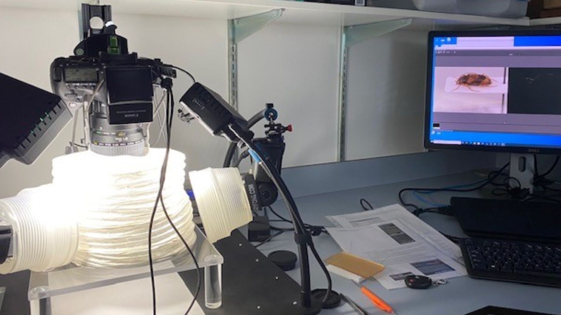 Digital camera imaging setup in New Zealand Arthropod Collection used for extended depth of focus photography of invertebrates..