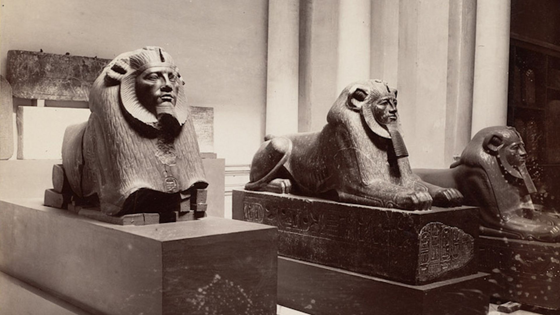 Hyksos Sphinxes