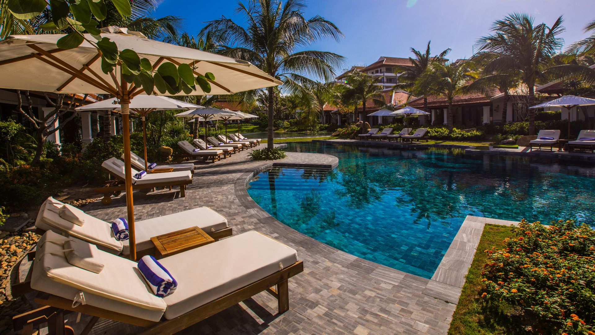 white and brown lounge chairs beside swimming pool during daytime