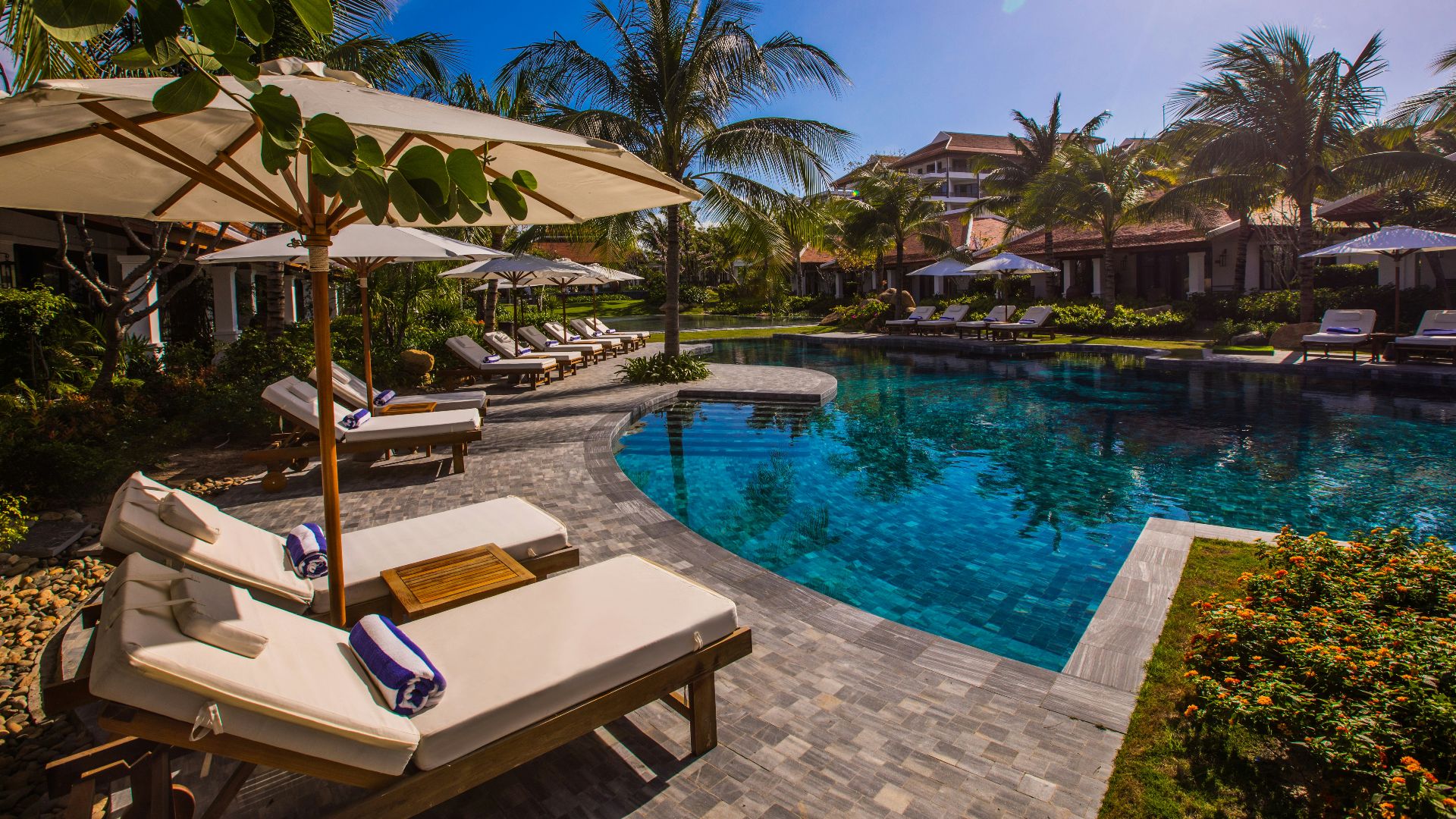 white and brown lounge chairs beside swimming pool during daytime