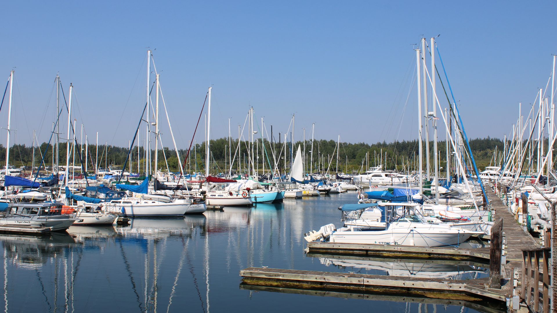 Point Roberts Marina Resort in Point Roberts, Washington, United States