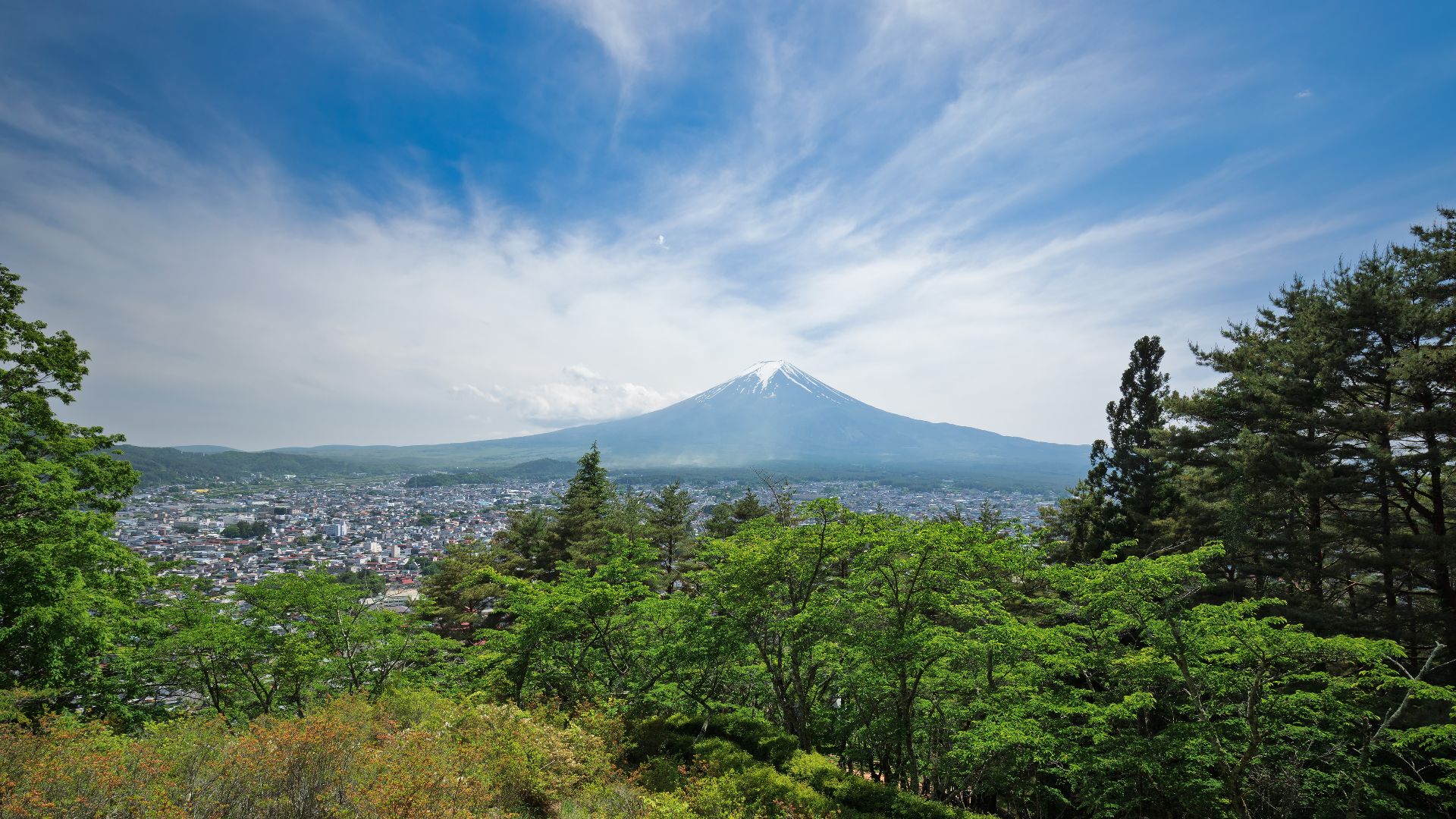 A view towards Mount Fuji from the hillside of Mount Arakura in Arakurayama Sengen Park in Fujiyoshida, Yamanashi, Japan in 2024 May.
