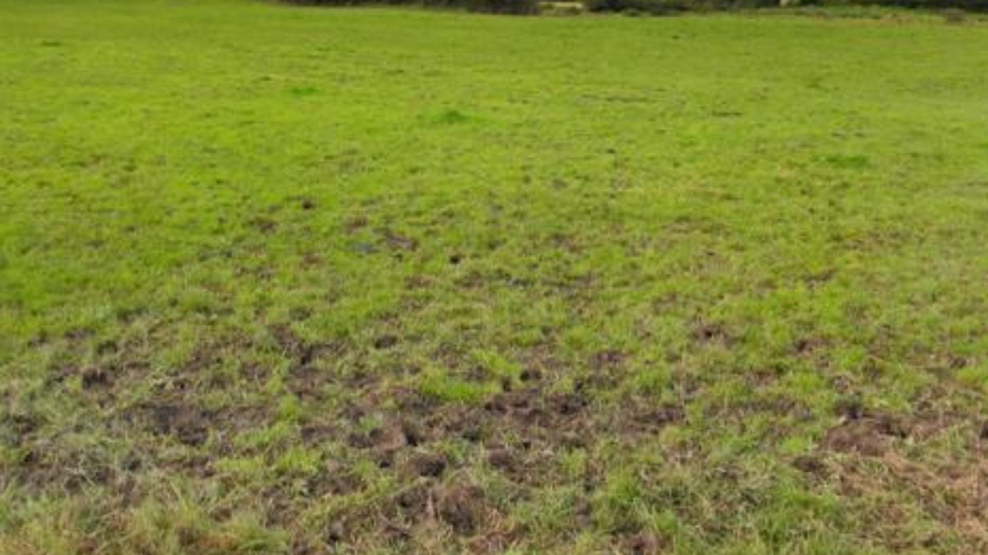 Feddans Townland