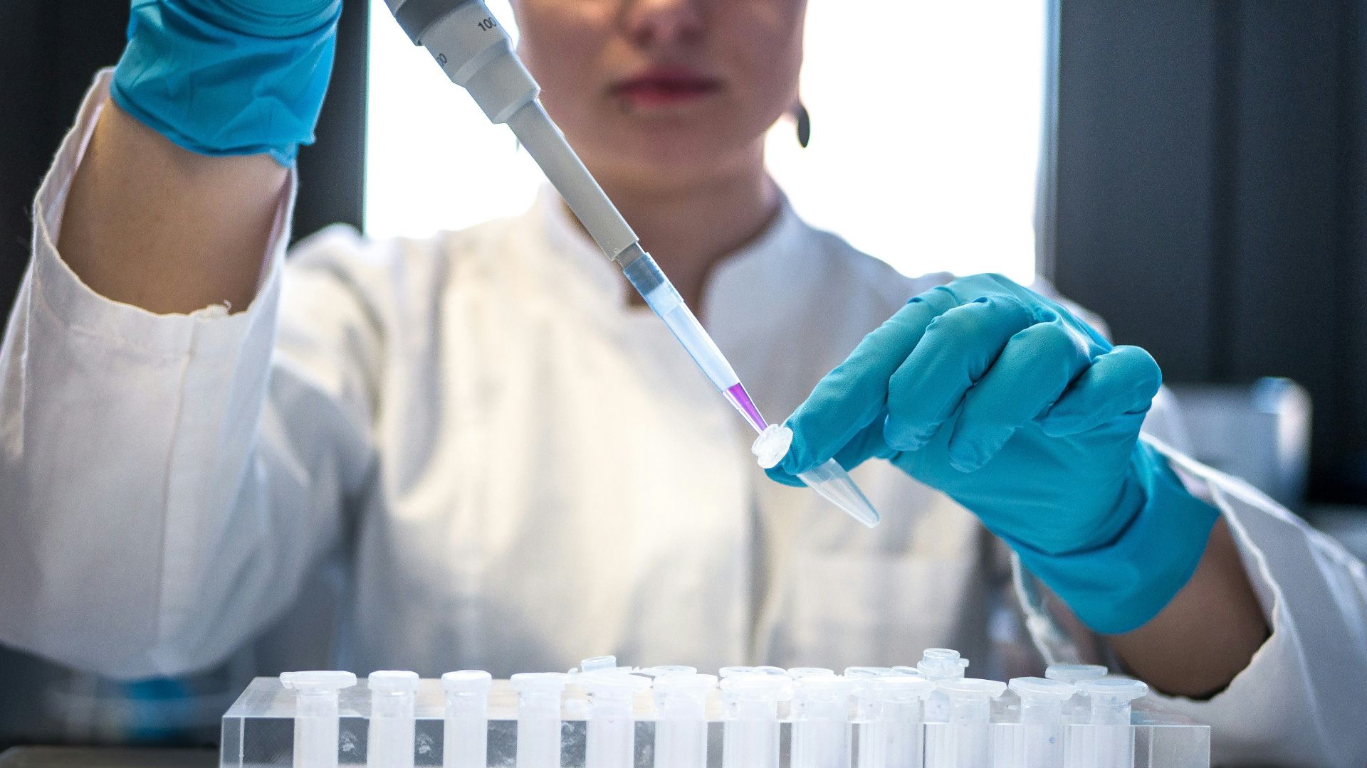 scientist using pipette with test tubes in lab