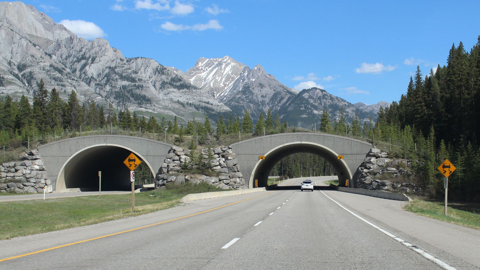 A wildlife crossing on the Trans-Canada Highway (Alberta Highway 1) heading eastbound in Banff National Park. Photographed by user Coolcaesar on May 26, 2018.
