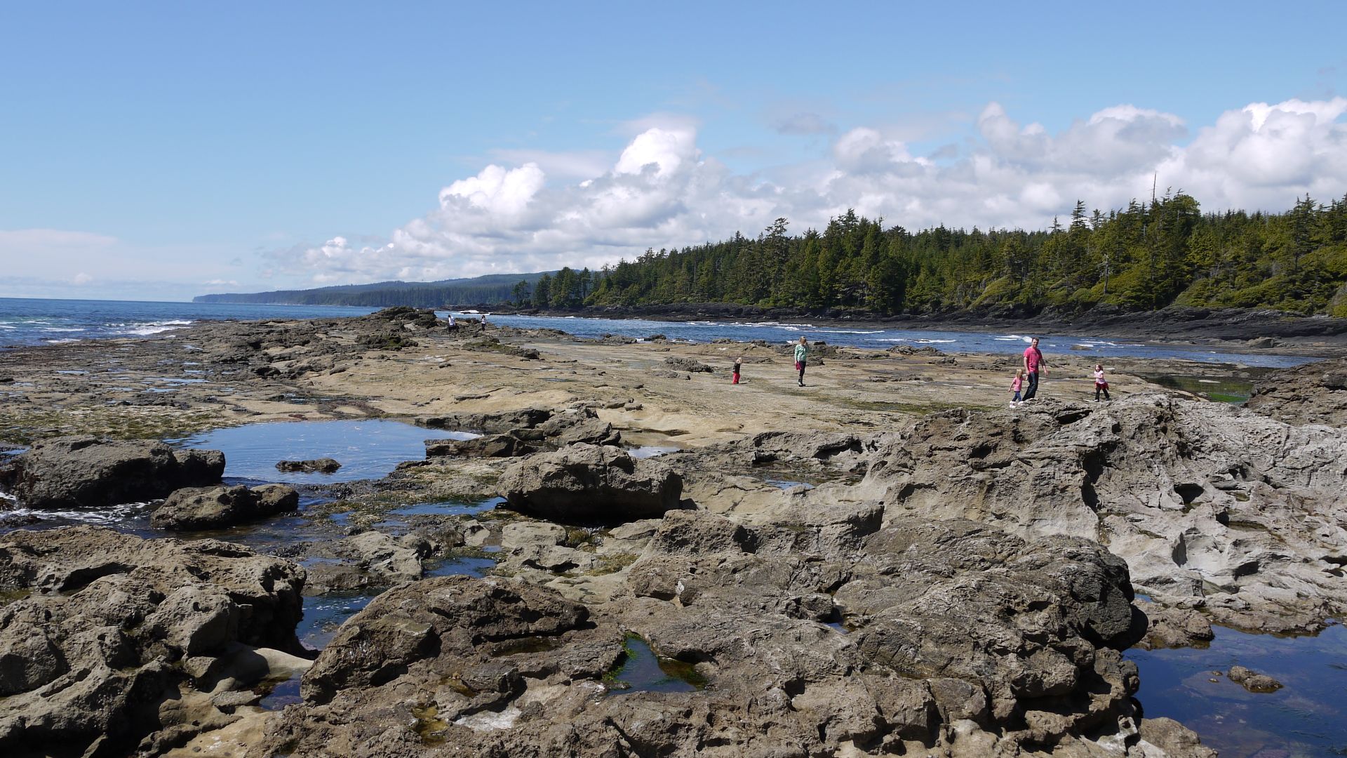 Botanical Beach Provincial Park, located southwest of Port Renfrew, British Columbia