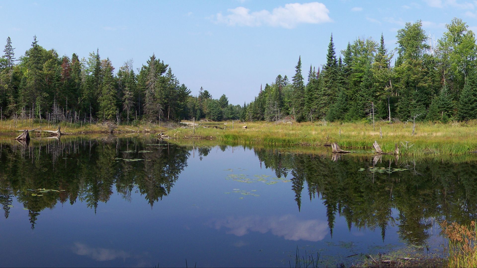 An unnamed lake on the canoe route between Bell Lake and David Lake in the Killarney Provincial Park.