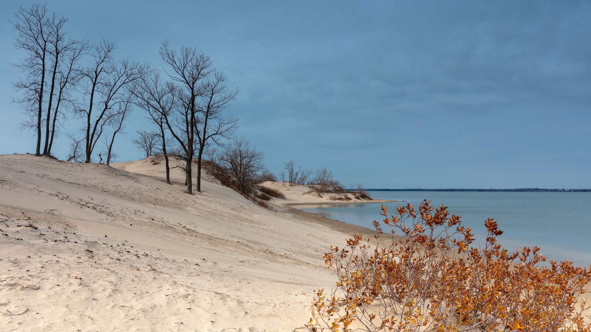 View of the Sandbanks in the Fall showing the dunes and foliage before the snow fall.