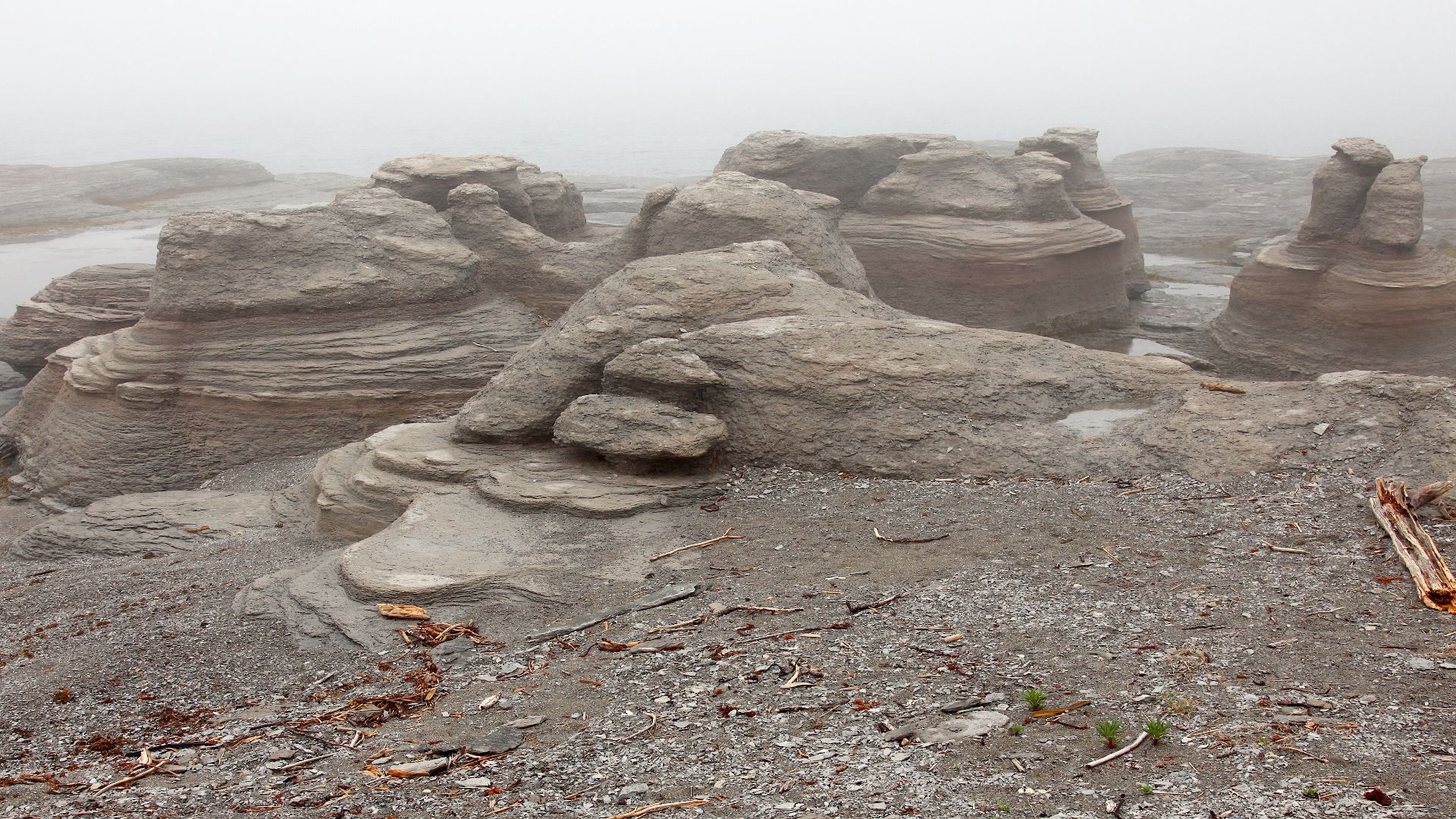 Die Île Nue (dt. nackte Insel) im Parc national de l'Archipel-de-Mingan in Québec/Kanada, mit einer fantastisch anmutenden Gruppe von Monolithen im Morgennebel. Monolithe sind natürlich entstandene Gesteins­blöcke, die vollständig aus derselben Gesteinsar