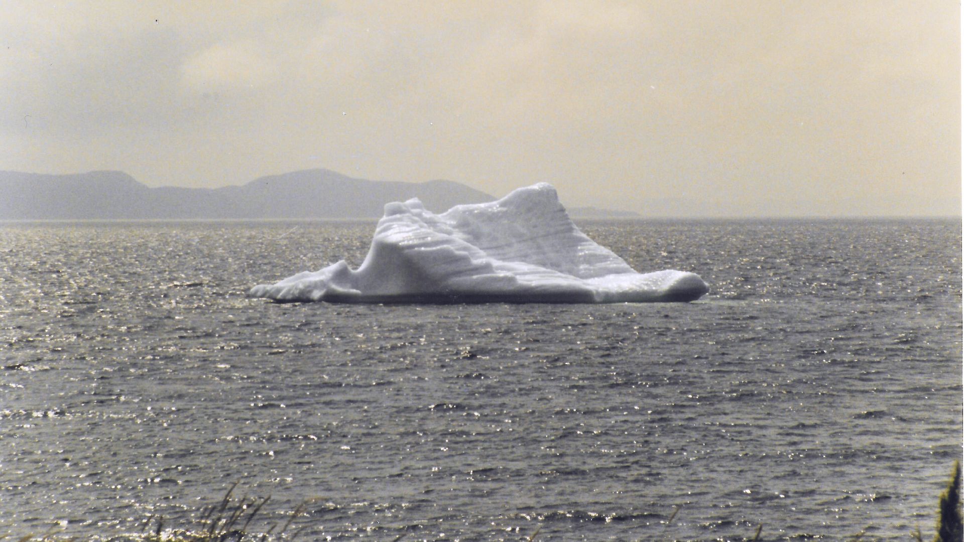 Iceberg stranded in Twillingate