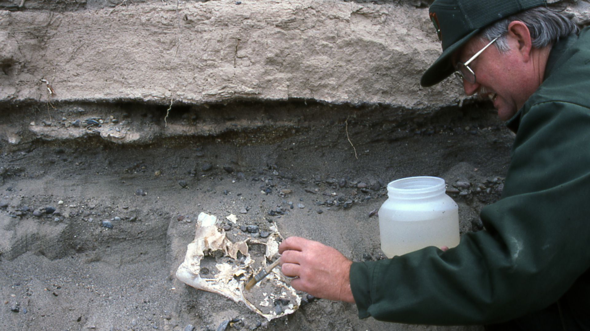 A paleontologist works on a fossil.
A paleontologist works on stabilizing a fossil.
Keywords: “nps centennial; media quality “; hafo