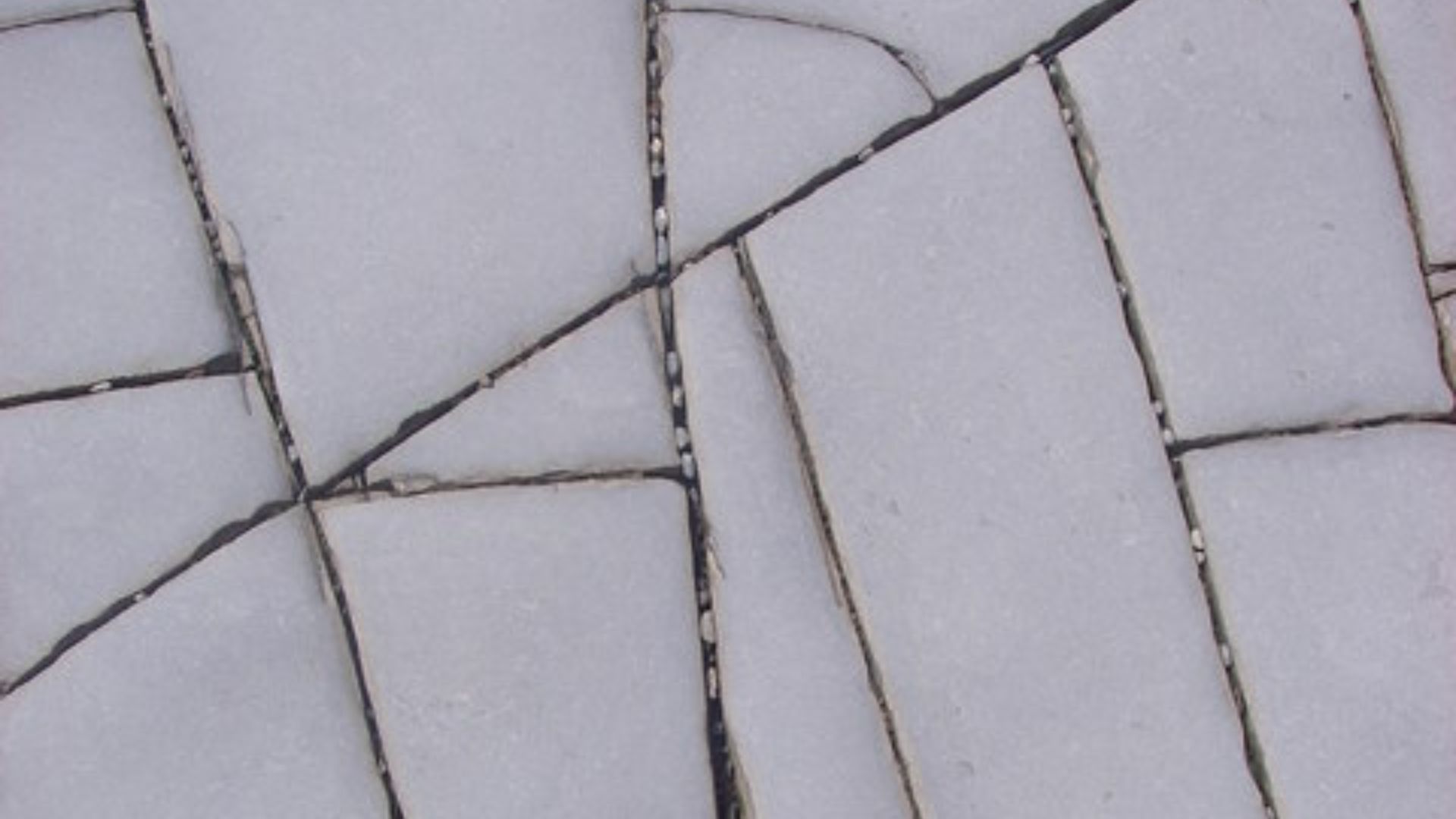 Detail of Lower Lias Image shows typical jointing pattern looking down on foreshore rocks at Lavernock Point.