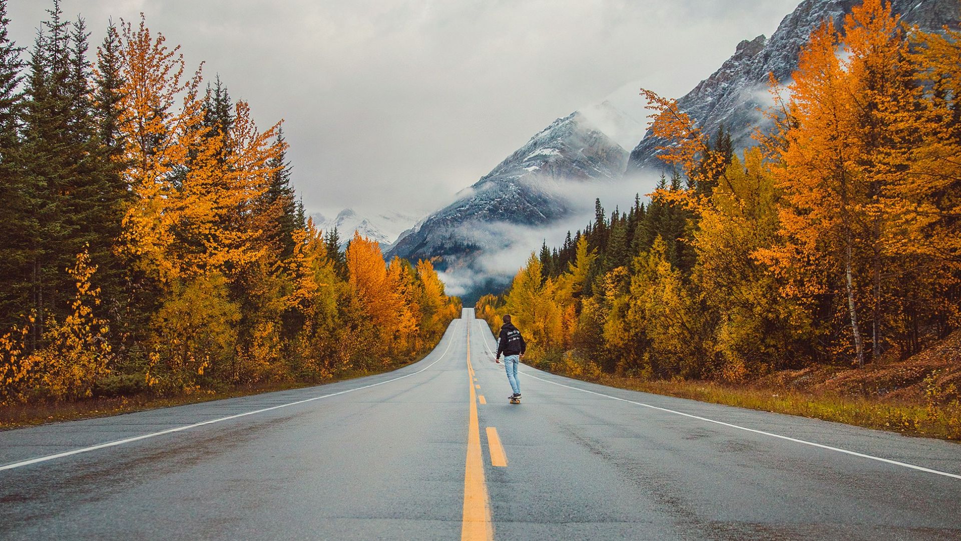 mountains near brown trees under cloudy sky