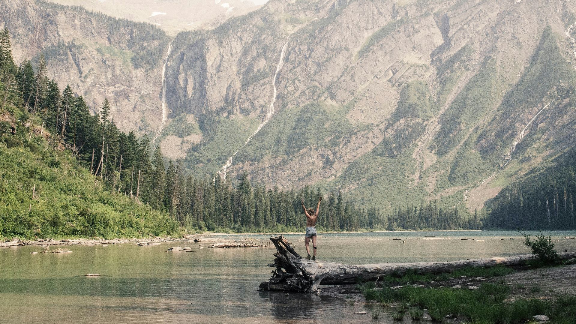 person standing on dead tree facing body of water