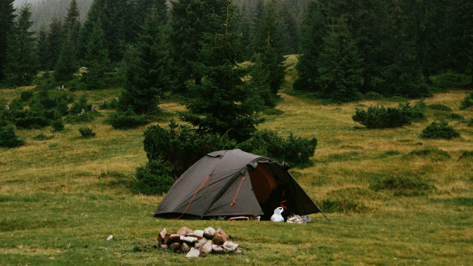 a tent in a field