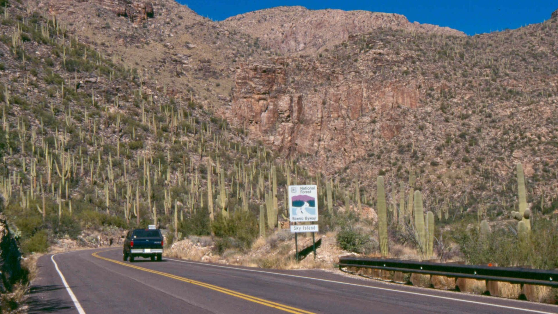 Scope and content:  The original finding aid described this photograph as:
Original Caption: Tall saguaro cacti and rugged canyons provide a scenic backdrop to the start of the Sky Island Parkway.
Location: Arizona (32.309° N 110.744° W)

Status: Public d