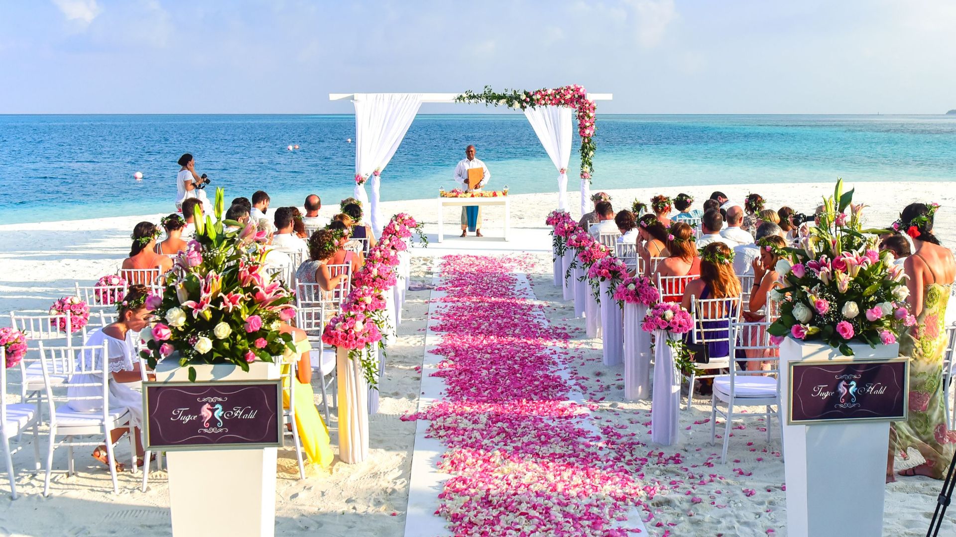 A beautiful outdoor beach wedding setup with rose petals, guests, and ocean view.