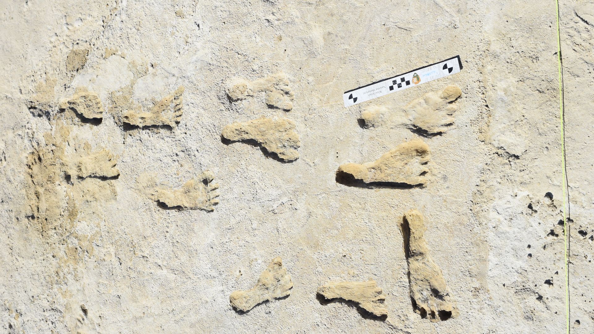 12 human footprints belonging to one adolecent and possibly female teenager.
The size of the set of footprints indicates that it was left by a human child. The second set of tracks were left by a possibly female teenager.
Keywords: Ice Age; Footprint; Si