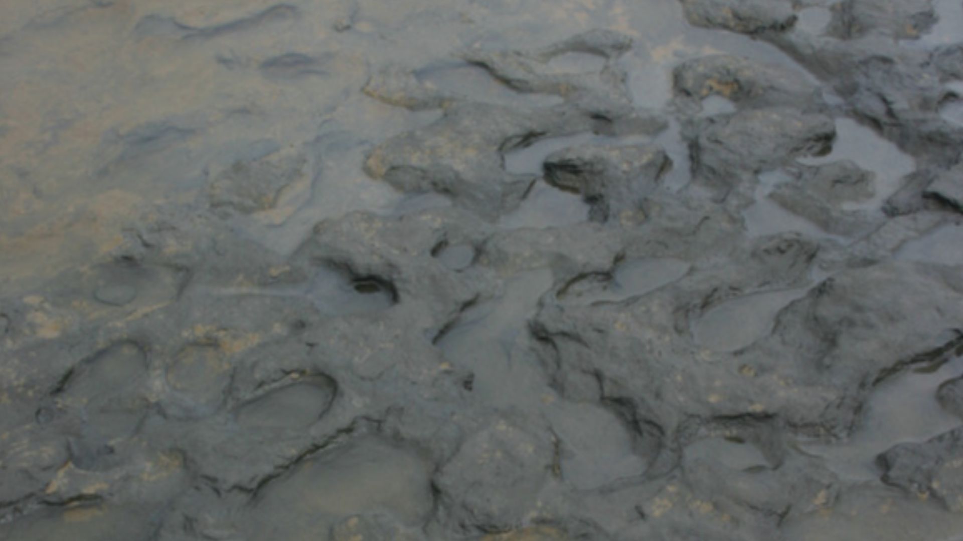 Hominin Footprints from Early Pleistocene Deposits at Happisburgh, UK.
Photographs of Area A at Happisburgh.

a. Footprint surface looking north-east. b. Detail of footprint surface.