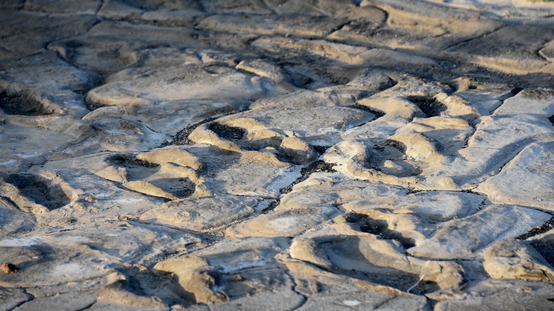 Hominid footprints near Lake Natron (6)