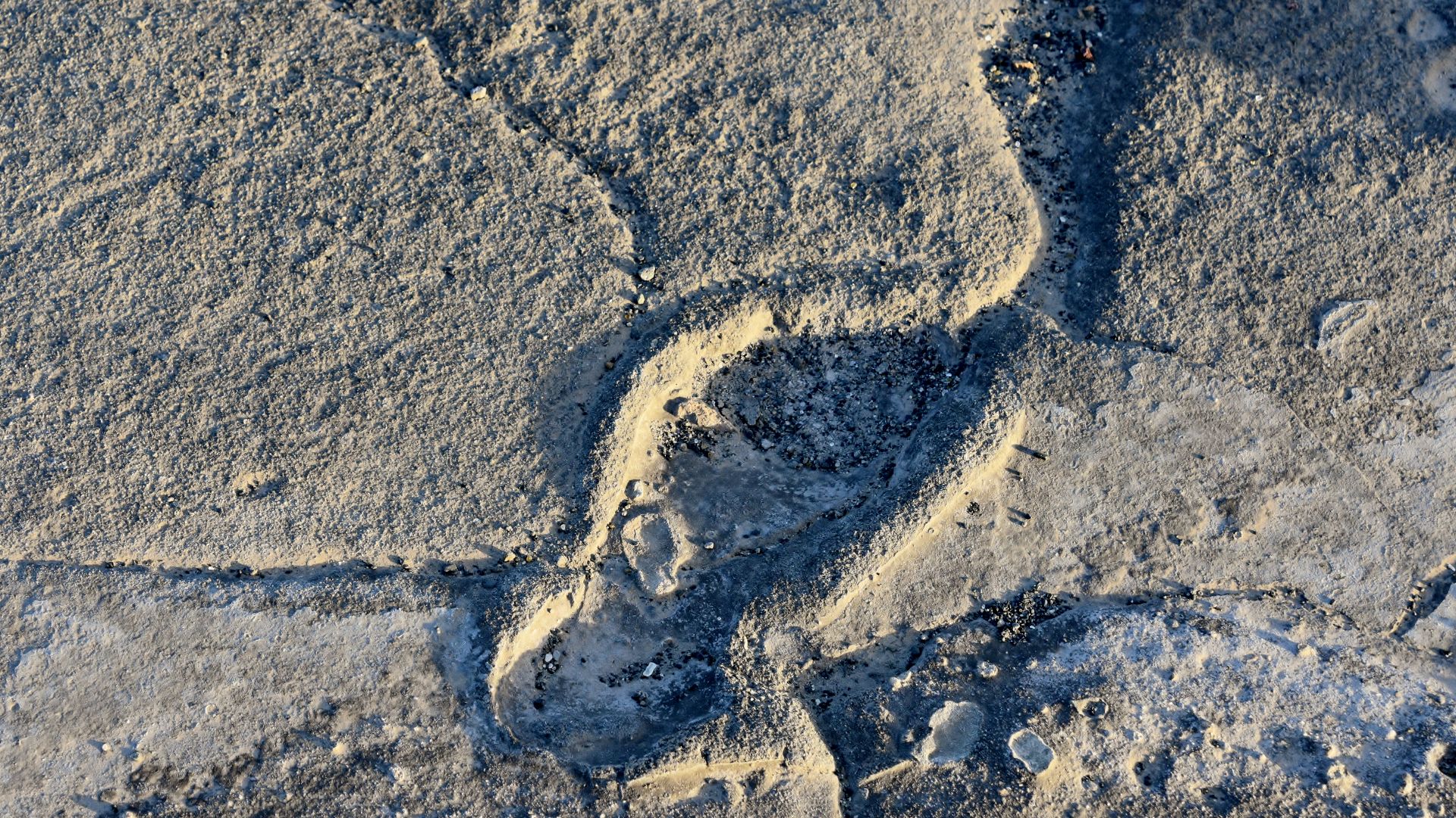 Hominid footprints near Lake Natron (3)