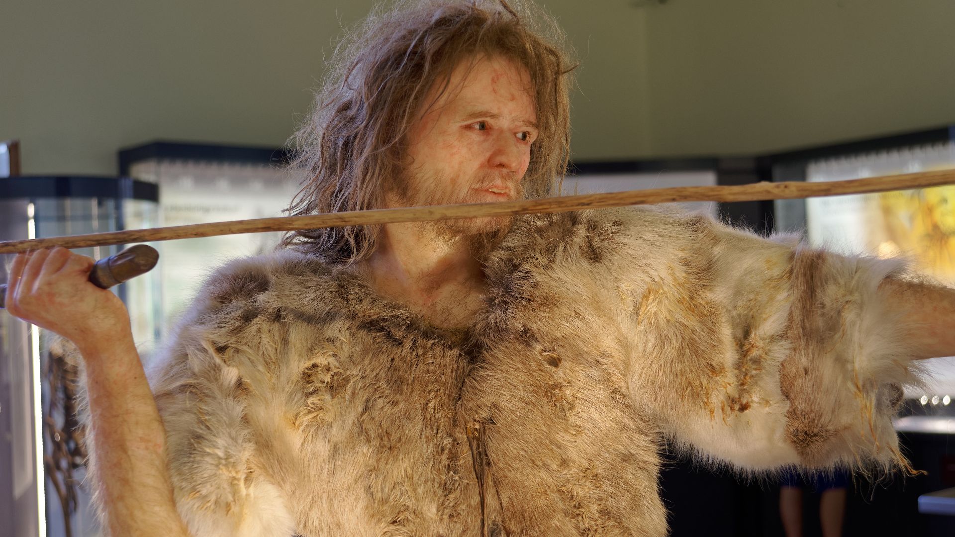 Model of Cro-Magnon 1, Homo Sapiens man in The Natural History Museum, Vienna